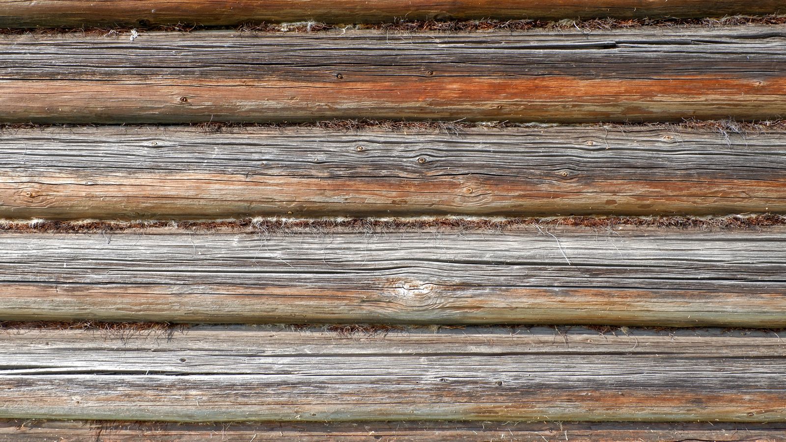 Close-up of a weathered log cabin wall, gray sun-worn logs with pale chinking between them
